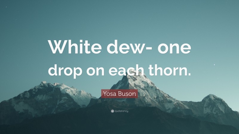 Yosa Buson Quote: “White dew- one drop on each thorn.”