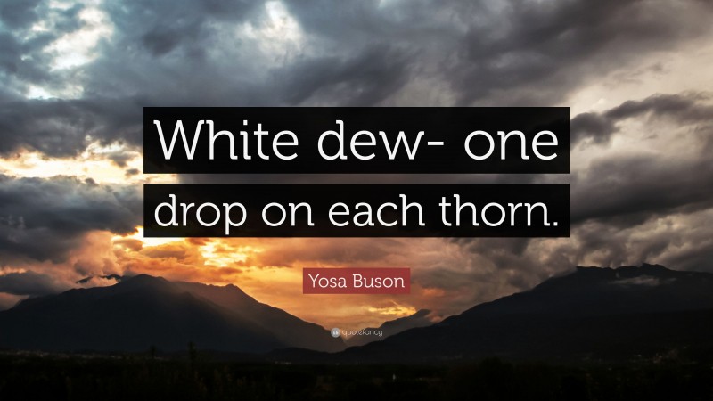 Yosa Buson Quote: “White dew- one drop on each thorn.”