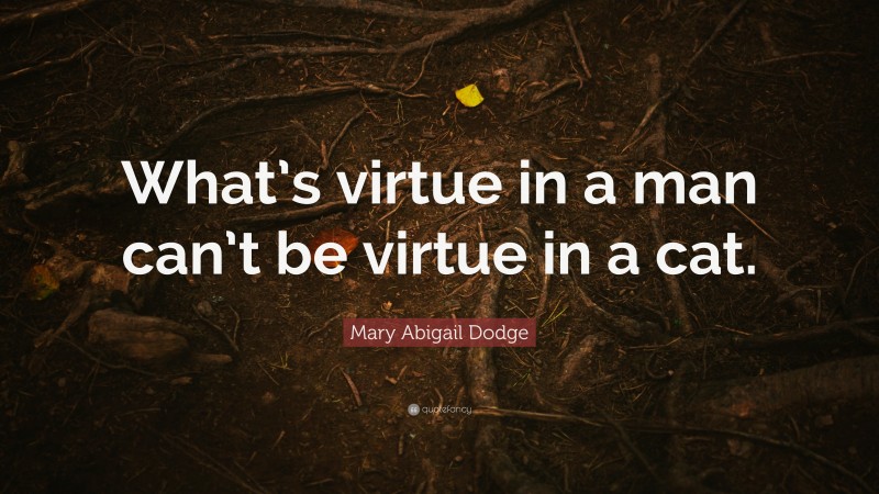 Mary Abigail Dodge Quote: “What’s virtue in a man can’t be virtue in a cat.”