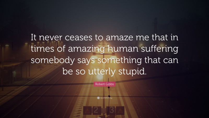 Robert Gibbs Quote: “It never ceases to amaze me that in times of amazing human suffering somebody says something that can be so utterly stupid.”