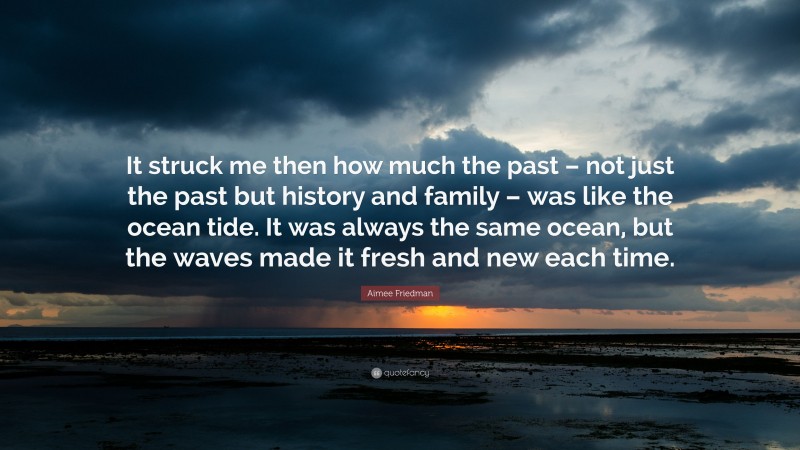 Aimee Friedman Quote: “It struck me then how much the past – not just the past but history and family – was like the ocean tide. It was always the same ocean, but the waves made it fresh and new each time.”