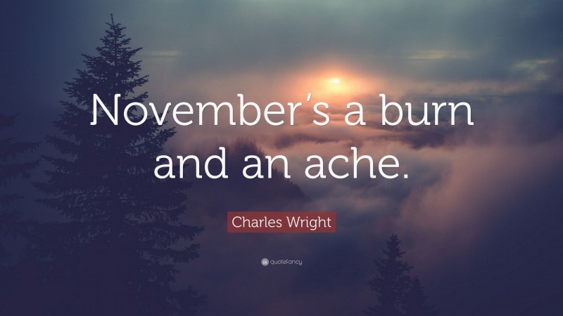 Charles Wright Quote: “November’s a burn and an ache.”