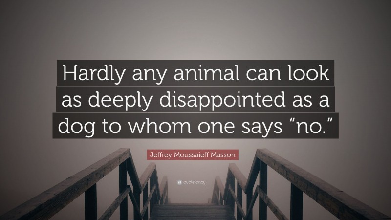 Jeffrey Moussaieff Masson Quote: “Hardly any animal can look as deeply disappointed as a dog to whom one says “no.””