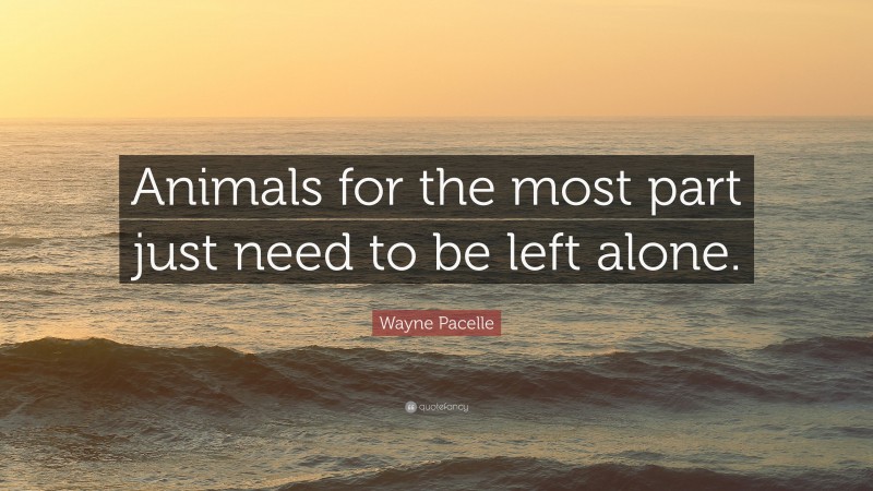 Wayne Pacelle Quote: “Animals for the most part just need to be left alone.”
