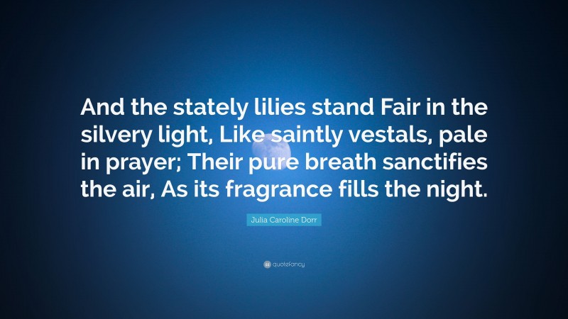 Julia Caroline Dorr Quote: “And the stately lilies stand Fair in the silvery light, Like saintly vestals, pale in prayer; Their pure breath sanctifies the air, As its fragrance fills the night.”