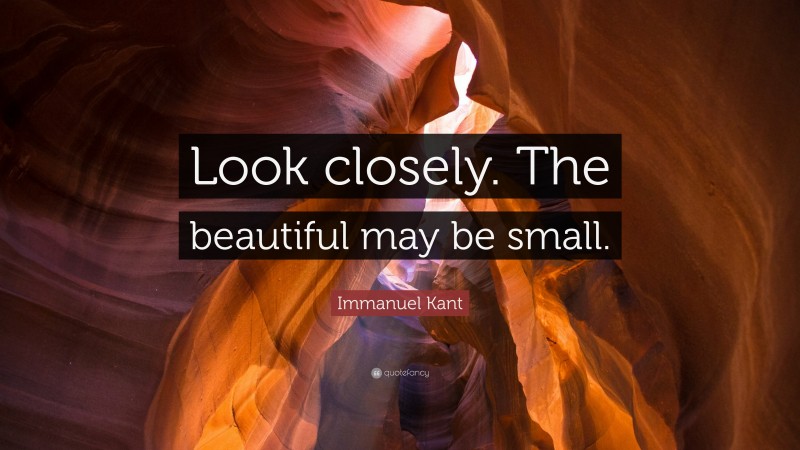 Immanuel Kant Quote: “Look closely. The beautiful may be small.”