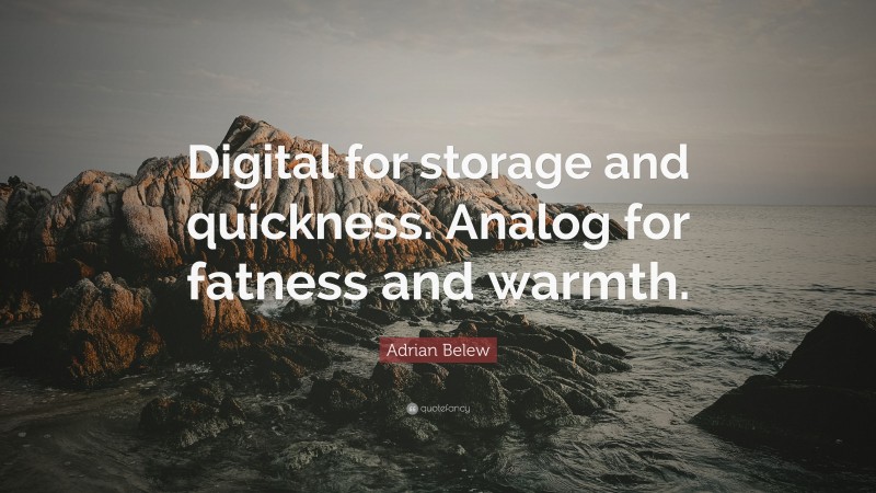 Adrian Belew Quote: “Digital for storage and quickness. Analog for fatness and warmth.”
