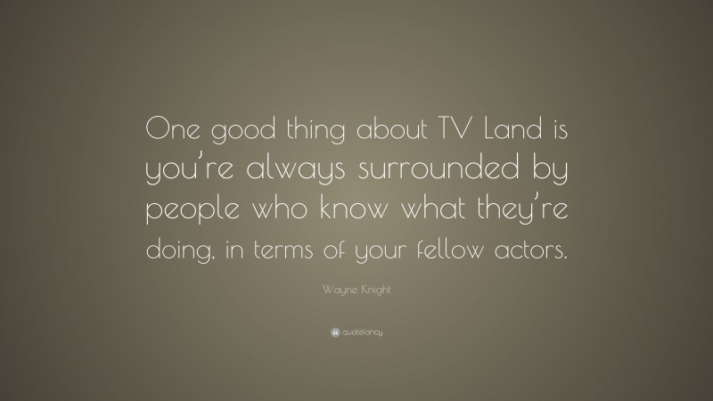 Wayne Knight Quote: “One good thing about TV Land is you’re always surrounded by people who know what they’re doing, in terms of your fellow actors.”