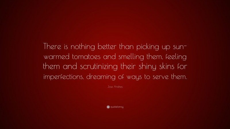 Jose Andres Quote: “There is nothing better than picking up sun-warmed tomatoes and smelling them, feeling them and scrutinizing their shiny skins for imperfections, dreaming of ways to serve them.”