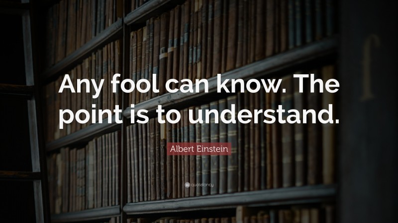 Albert Einstein Quote: “Any fool can know. The point is to understand.”