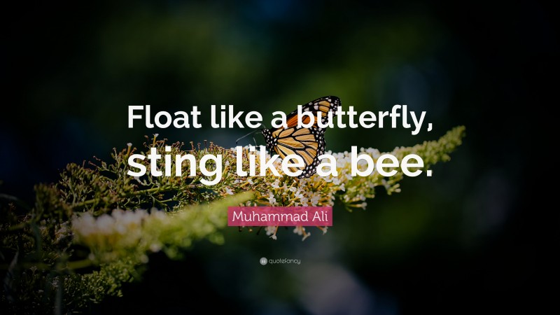 Muhammad Ali Quote: “Float like a butterfly, sting like a bee.”