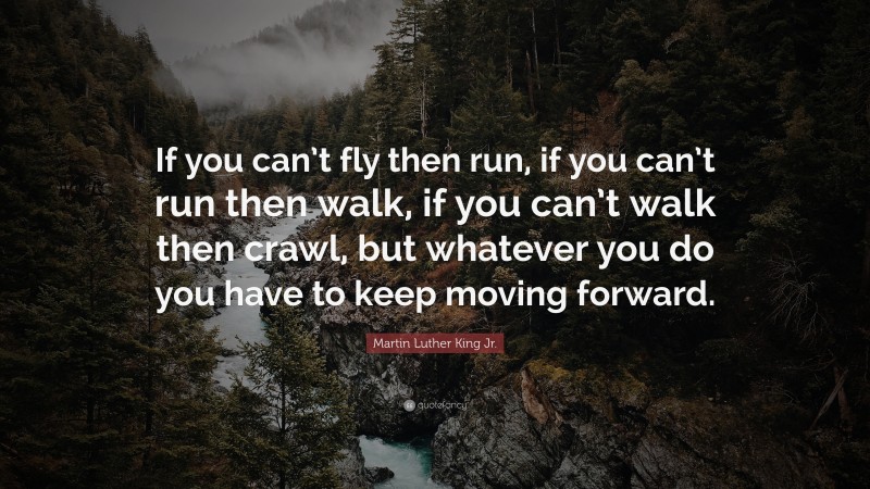 Martin Luther King Jr. Quote: “If you can’t fly then run, if you can’t run then walk, if you can’t walk then crawl, but whatever you do you have to keep moving forward.”