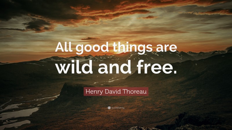 Henry David Thoreau Quote: “All good things are wild and free.”
