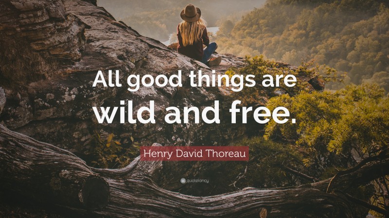 Henry David Thoreau Quote: “All good things are wild and free.”