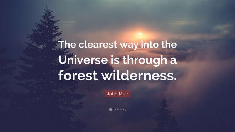 John Muir Quote: “The clearest way into the Universe is through a forest wilderness.”