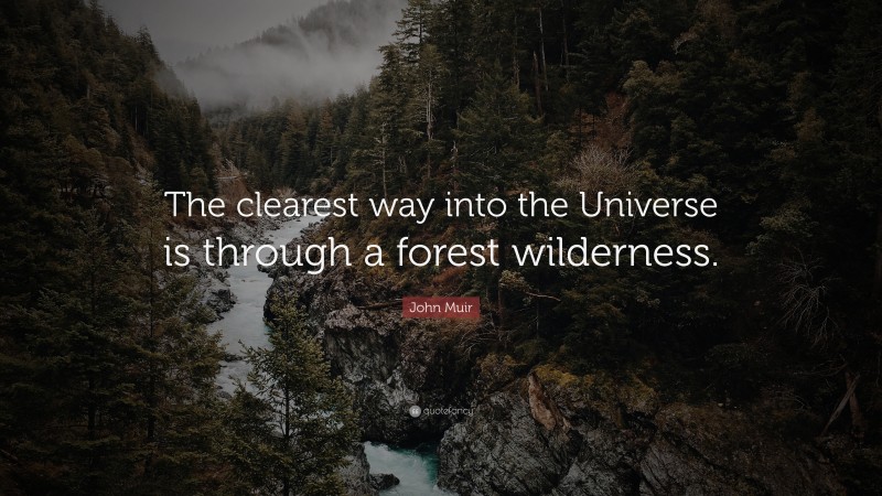 John Muir Quote: “The clearest way into the Universe is through a forest wilderness.”