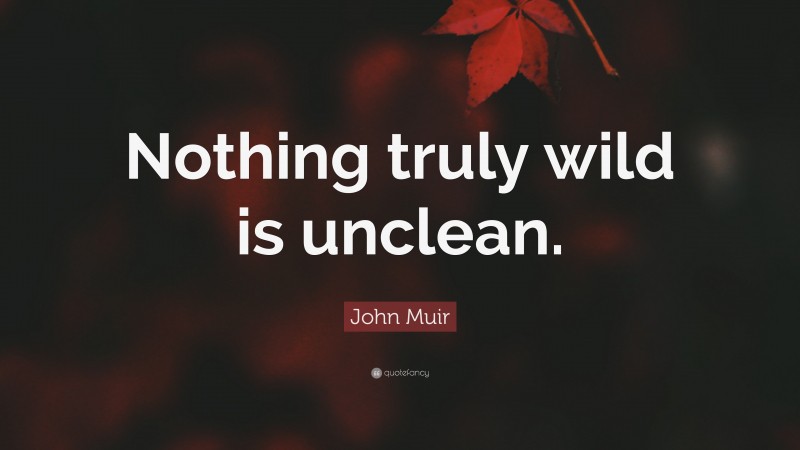 John Muir Quote: “Nothing truly wild is unclean.”