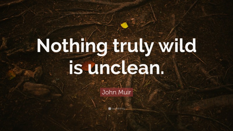 John Muir Quote: “Nothing truly wild is unclean.”