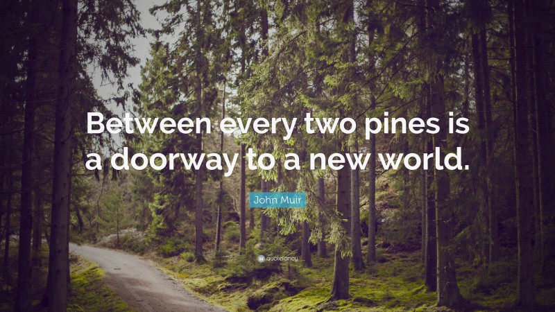 John Muir Quote: “Between every two pines is a doorway to a new world.”