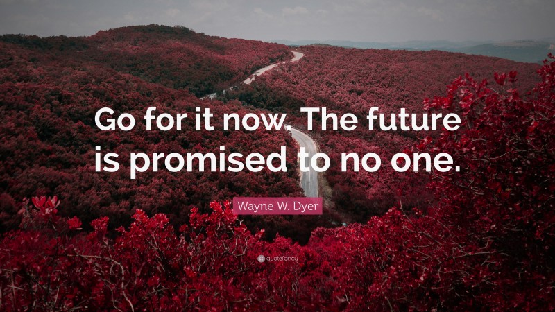 Wayne W. Dyer Quote: “Go for it now. The future is promised to no one.”