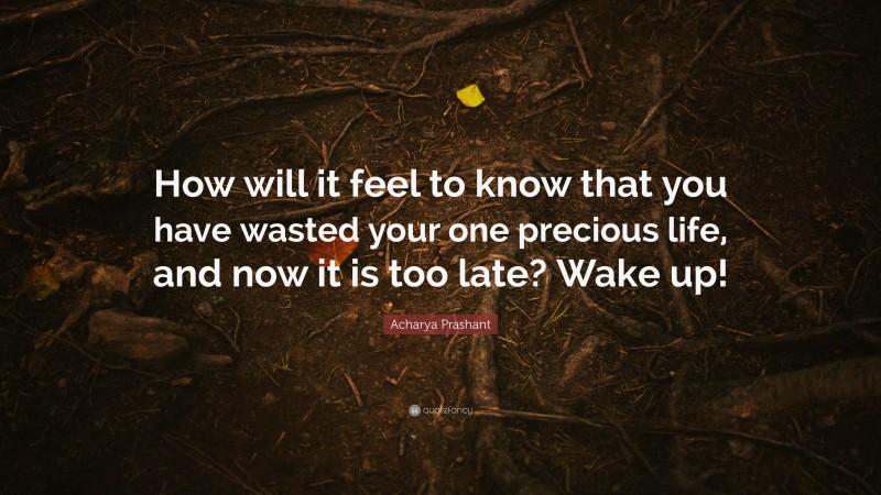 Acharya Prashant Quote: “How will it feel to know that you have wasted your one precious life, and now it is too late? Wake up!”
