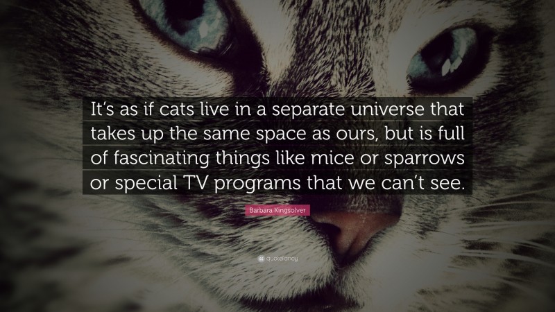 Barbara Kingsolver Quote: “It’s as if cats live in a separate universe that takes up the same space as ours, but is full of fascinating things like mice or sparrows or special TV programs that we can’t see.”