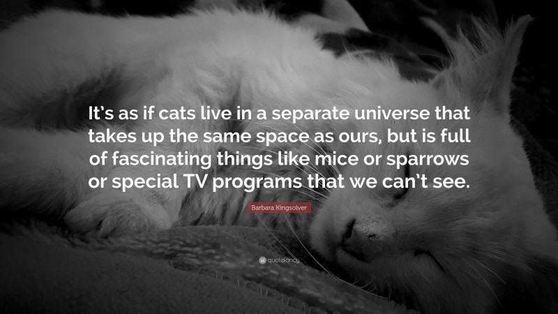 Barbara Kingsolver Quote: “It’s as if cats live in a separate universe that takes up the same space as ours, but is full of fascinating things like mice or sparrows or special TV programs that we can’t see.”