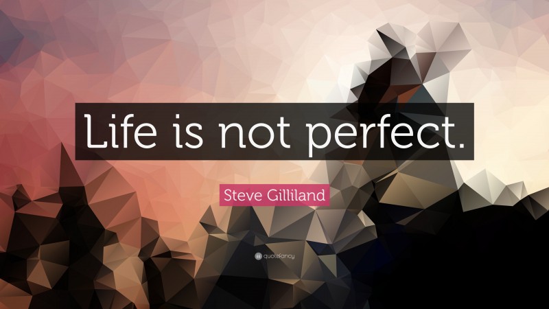 Steve Gilliland Quote: “Life is not perfect.”