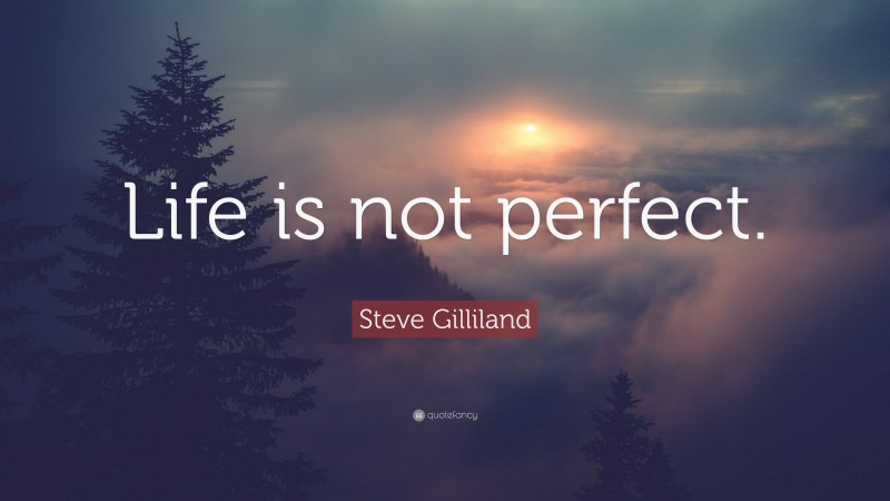 Steve Gilliland Quote: “Life is not perfect.”