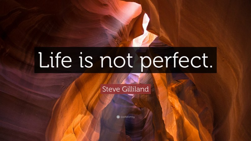 Steve Gilliland Quote: “Life is not perfect.”