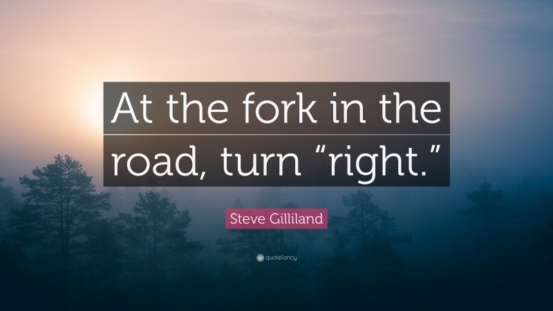 Steve Gilliland Quote: “At the fork in the road, turn “right.””
