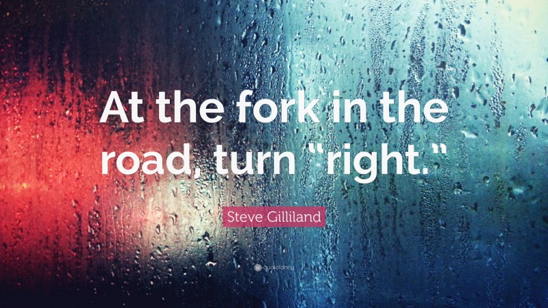 Steve Gilliland Quote: “At the fork in the road, turn “right.””