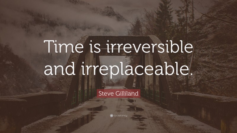 Steve Gilliland Quote: “Time is irreversible and irreplaceable.”