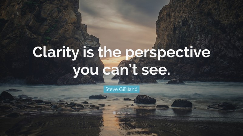 Steve Gilliland Quote: “Clarity is the perspective you can’t see.”