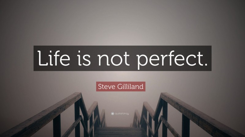 Steve Gilliland Quote: “Life is not perfect.”