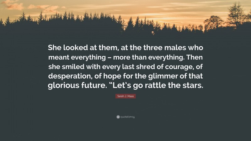 Sarah J. Maas Quote: “She looked at them, at the three males who meant everything – more than everything. Then she smiled with every last shred of courage, of desperation, of hope for the glimmer of that glorious future. “Let’s go rattle the stars.”