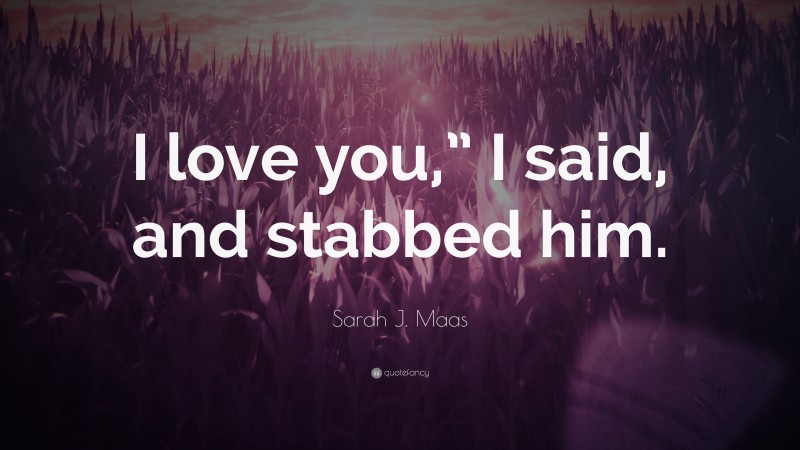 Sarah J. Maas Quote: “I love you,” I said, and stabbed him.”