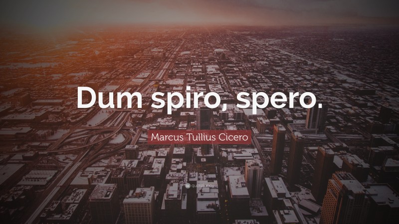 Marcus Tullius Cicero Quote: “Dum spiro, spero.”