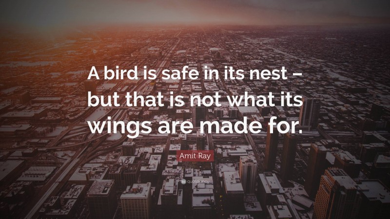 Amit Ray Quote: “A bird is safe in its nest – but that is not what its wings are made for.”