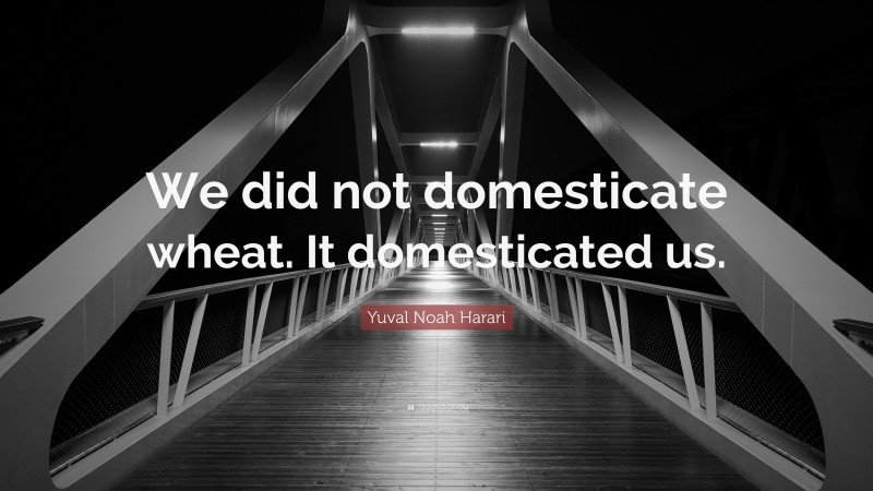 Yuval Noah Harari Quote: “We did not domesticate wheat. It domesticated us.”