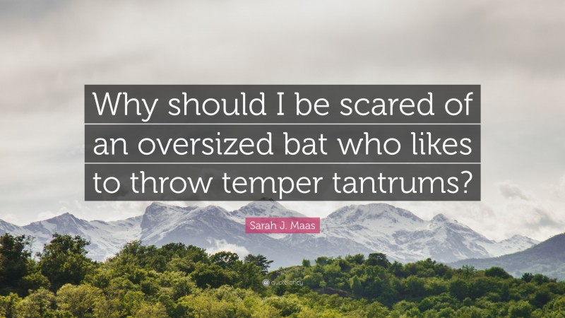 Sarah J. Maas Quote: “Why should I be scared of an oversized bat who likes to throw temper tantrums?”