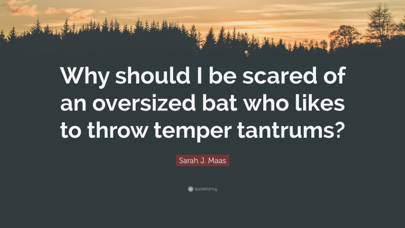 Sarah J. Maas Quote: “Why should I be scared of an oversized bat who likes to throw temper tantrums?”