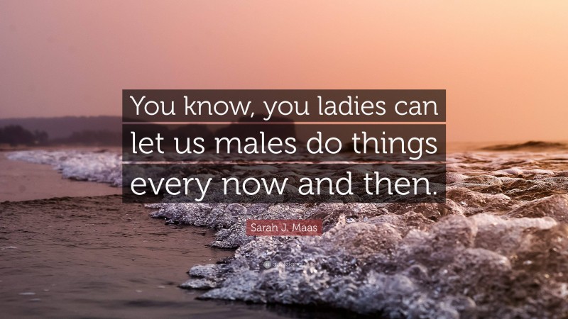 Sarah J. Maas Quote: “You know, you ladies can let us males do things every now and then.”