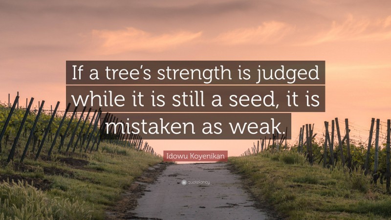 Idowu Koyenikan Quote: “If a tree’s strength is judged while it is still a seed, it is mistaken as weak.”
