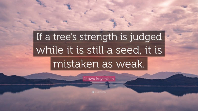 Idowu Koyenikan Quote: “If a tree’s strength is judged while it is still a seed, it is mistaken as weak.”