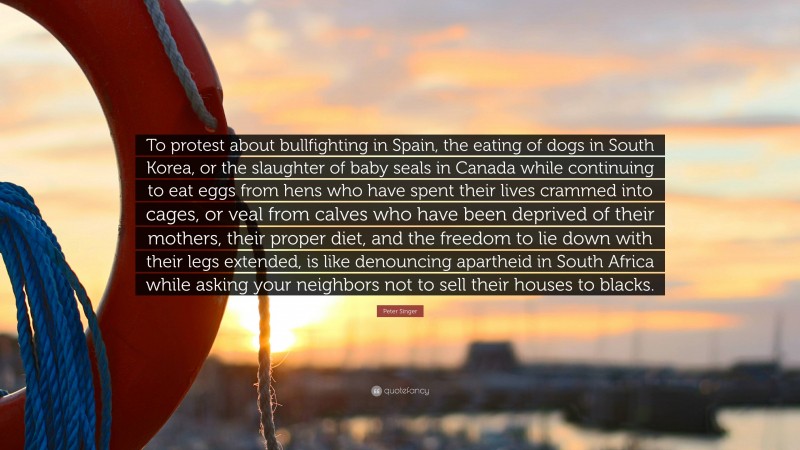 Peter Singer Quote: “To protest about bullfighting in Spain, the eating of dogs in South Korea, or the slaughter of baby seals in Canada while continuing to eat eggs from hens who have spent their lives crammed into cages, or veal from calves who have been deprived of their mothers, their proper diet, and the freedom to lie down with their legs extended, is like denouncing apartheid in South Africa while asking your neighbors not to sell their houses to blacks.”