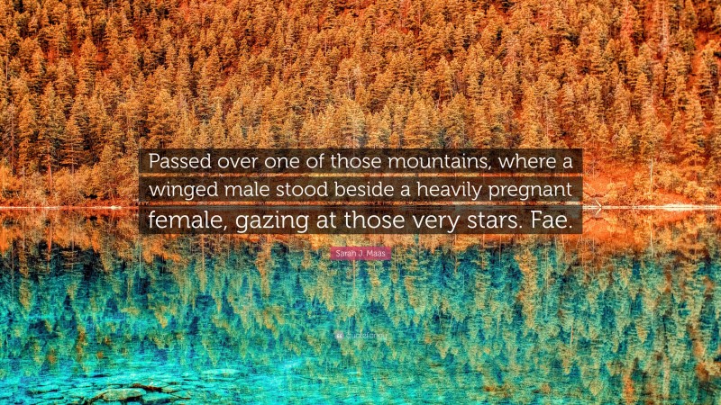 Sarah J. Maas Quote: “Passed over one of those mountains, where a winged male stood beside a heavily pregnant female, gazing at those very stars. Fae.”