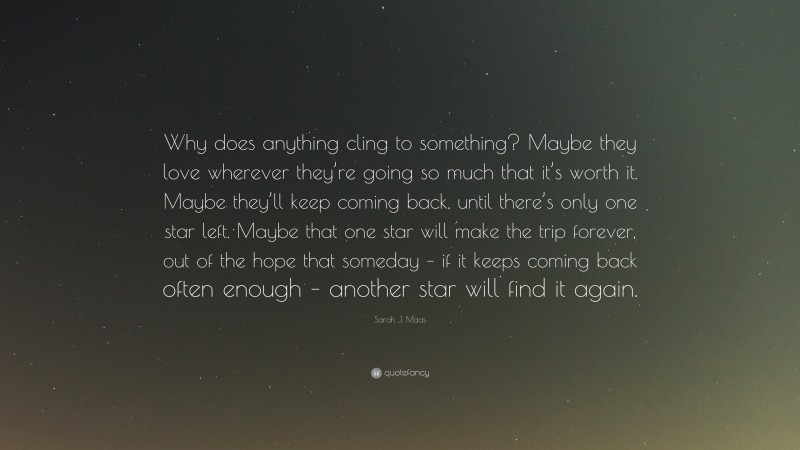 Sarah J. Maas Quote: “Why does anything cling to something? Maybe they love wherever they’re going so much that it’s worth it. Maybe they’ll keep coming back, until there’s only one star left. Maybe that one star will make the trip forever, out of the hope that someday – if it keeps coming back often enough – another star will find it again.”