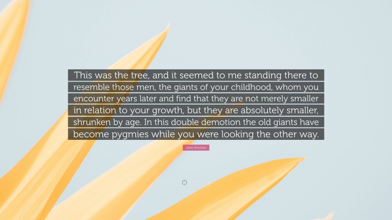 John Knowles Quote: “This was the tree, and it seemed to me standing there to resemble those men, the giants of your childhood, whom you encounter years later and find that they are not merely smaller in relation to your growth, but they are absolutely smaller, shrunken by age. In this double demotion the old giants have become pygmies while you were looking the other way.”