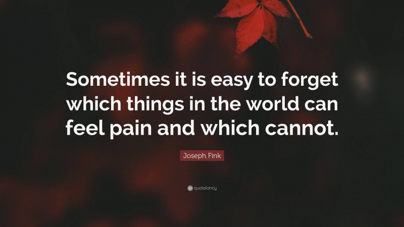 Joseph Fink Quote: “Sometimes it is easy to forget which things in the world can feel pain and which cannot.”